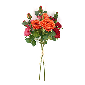 Rose Bush
