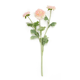 Rose Stem