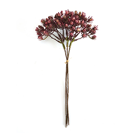 Spring Pick