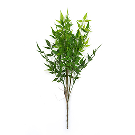Greenery Bush