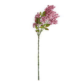 Spring Pick