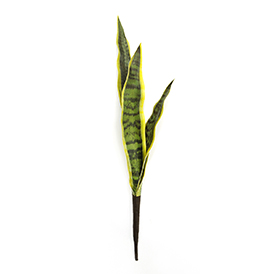 Greenery Pick