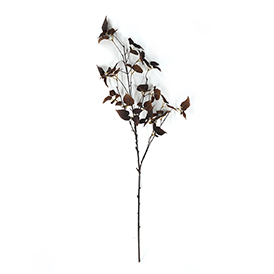Fall Leaves Stem