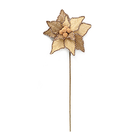 Poinsettia Flower Stem