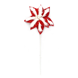 Poinsettia Flower Stem