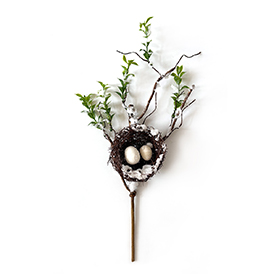 Bird's Nest Pick