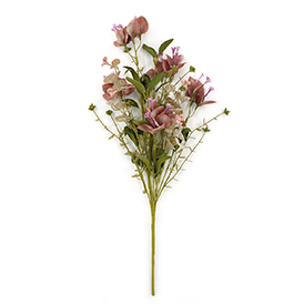 Wild Flowers Bush