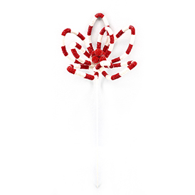 Christmas flower Stem