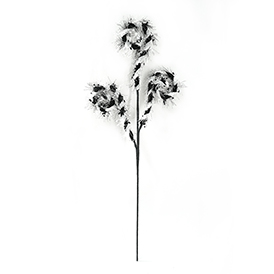 Halloween Curly Stem