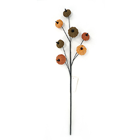 Pumpkin Stem