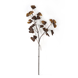 Ginkgo Leaves Stem