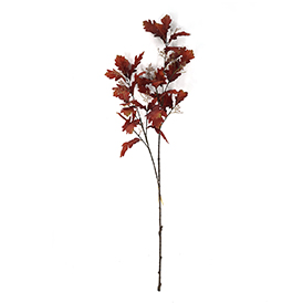 Maple Leaves Stem