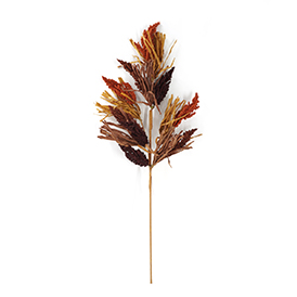 Fall  Stem
