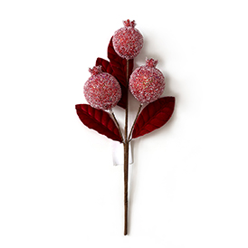 Pomegranate Pick