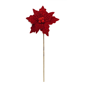 Poinsettia Flower Stem