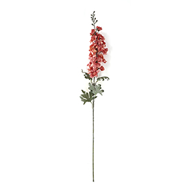Cherry Blossom Flower Stem