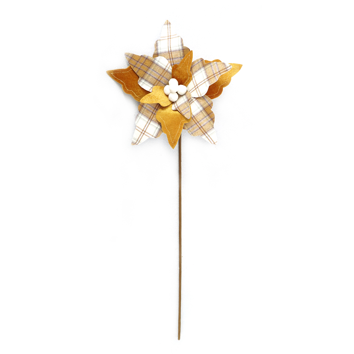 DSC03708