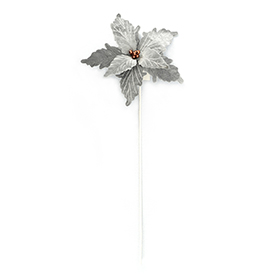 Poinsettia Flower Stem