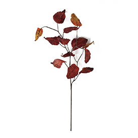 Fall Leaves Stem