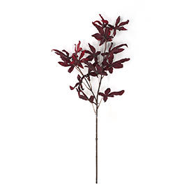 Maple Leaves Stem