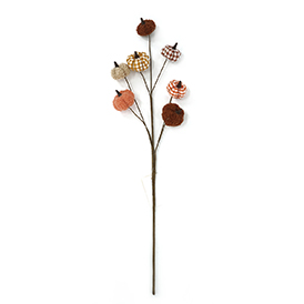 Pumpkin Stem