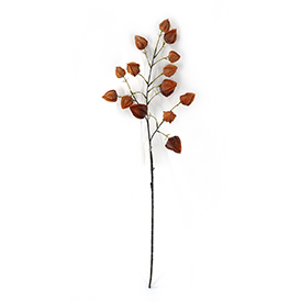 Lantern Stem