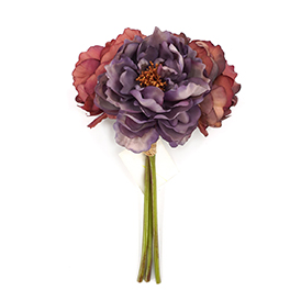 Peony Bush