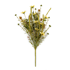 Wild Flowers Bush
