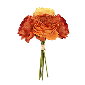 Peony Bush