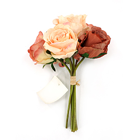Rose Bush